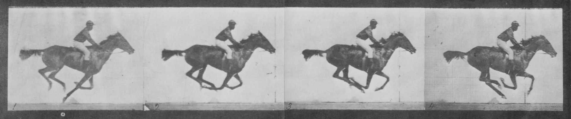 The Horse in Motion by Eadweard Muybridge
